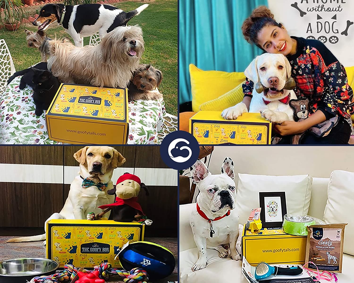 Goofy Tails Gold Goofy Box for Small and Medium Dogs | Personalized Curated Gift Box for Dogs (7659123736726)
