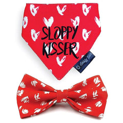 Goofy Tails X Design Chefz Sloppy Kisser Bow + Bandana Combo for Dogs & Cats (Multicolor)