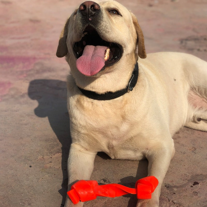 rubber toy for dogs 