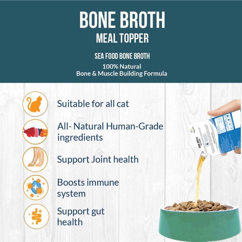 Healthy bone broth for cats