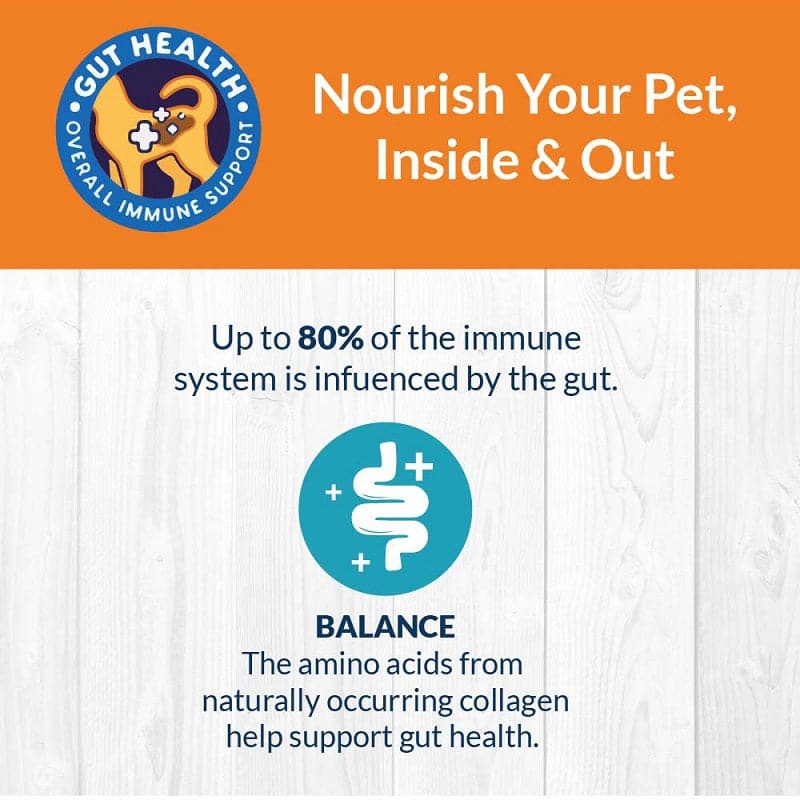 Nourish your pet inside & out with  Chicken Bone Broth for Dogs and Puppies - (100ml) 