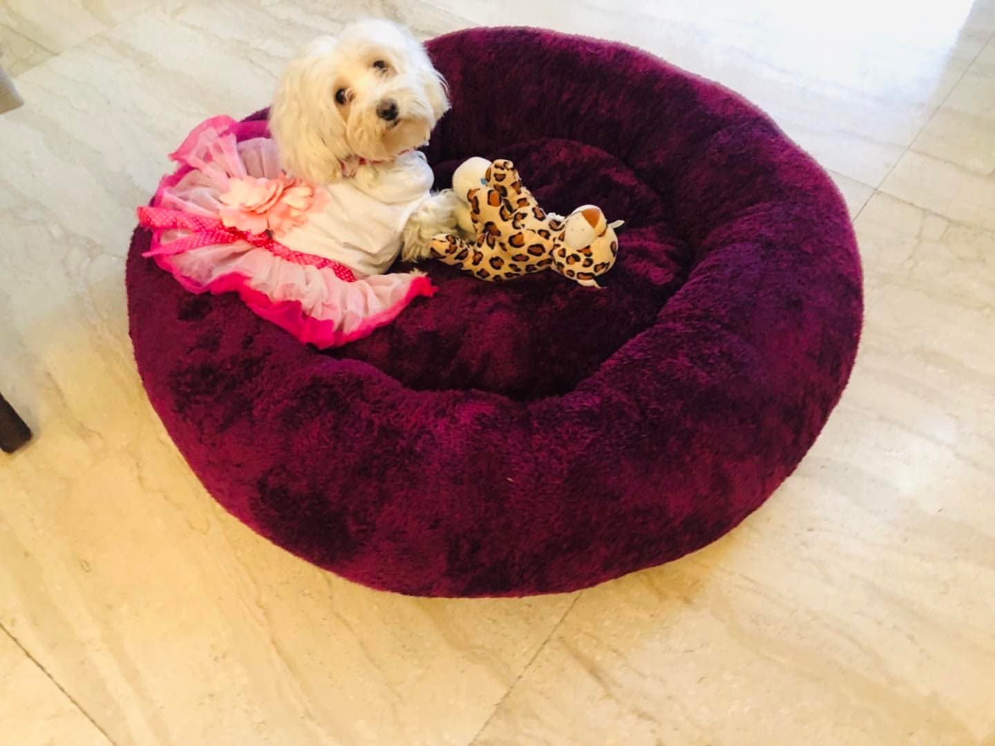 Goofy Tails Donut Sleeping Bed for Dogs | Luxurious Anti-Anxiety Snuggle Round Dog Bed (Plum) (7639914676374)