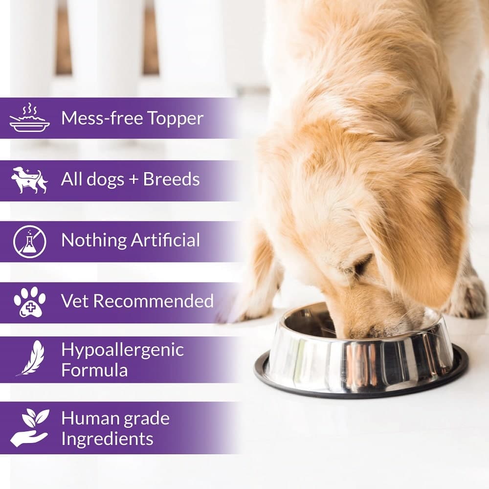 Features of dog food toppers for dogs and puppies