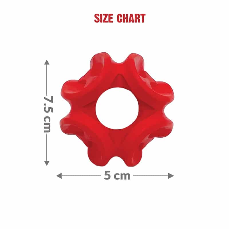 Size chart Ball for dogs (7168208699542)