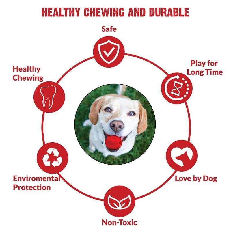 healthy chewing and durable dog ball toys (7168208699542)