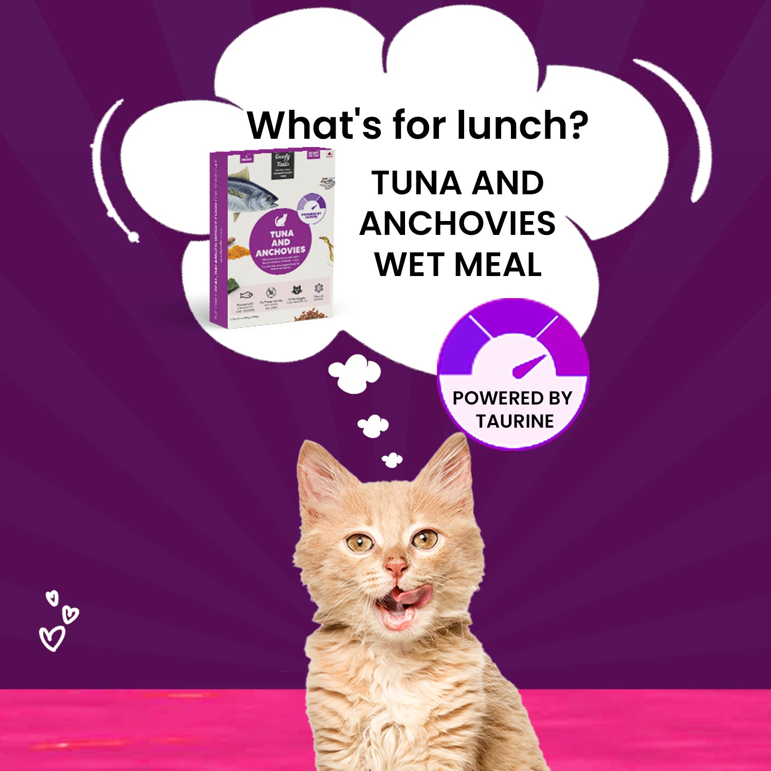 a cat is with Healthy cat food with tuna and anchovies for a complete and balanced diet