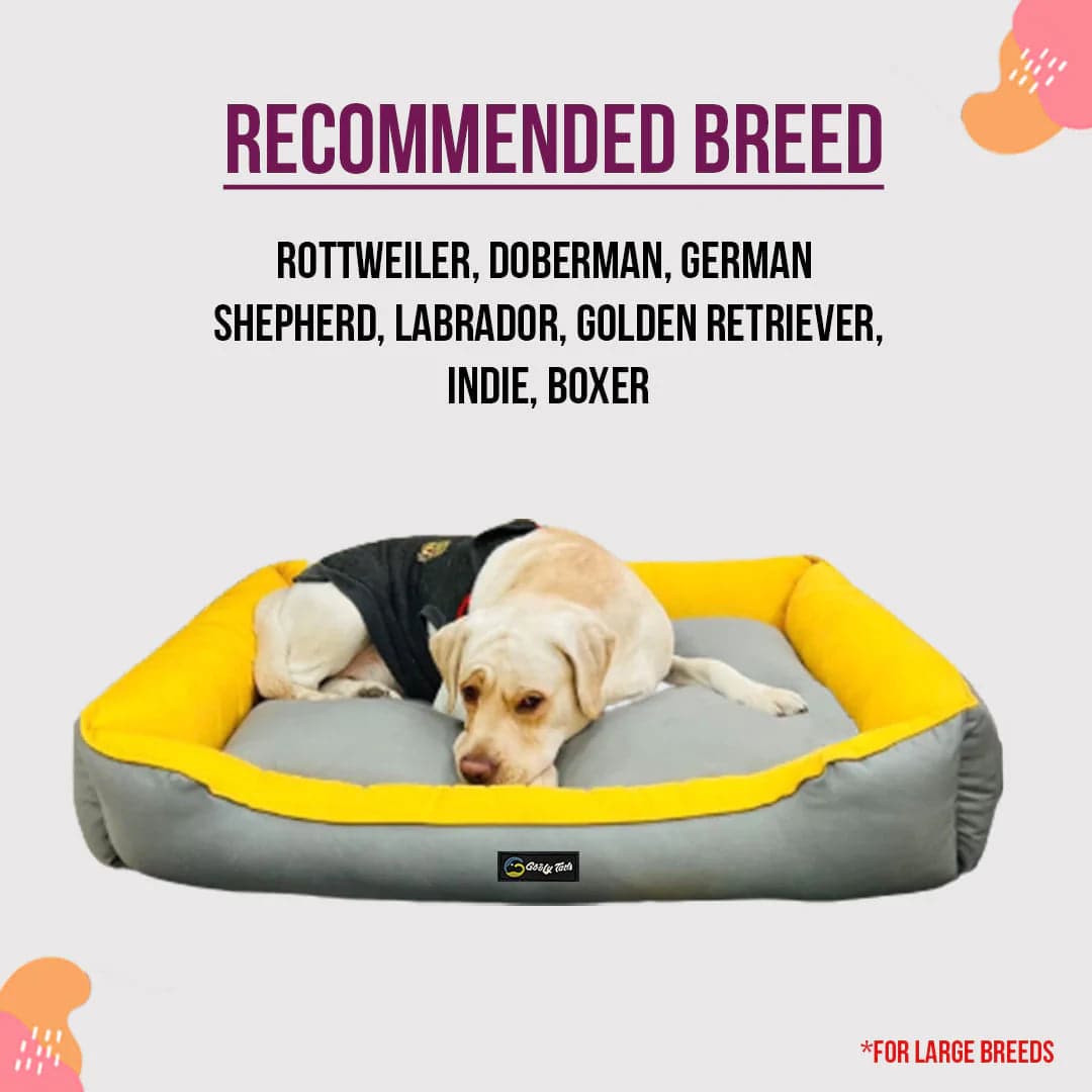 bed for large breed dogs (7304296562838)