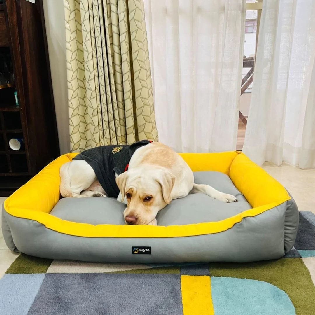 beds for dogs india (7304296562838)