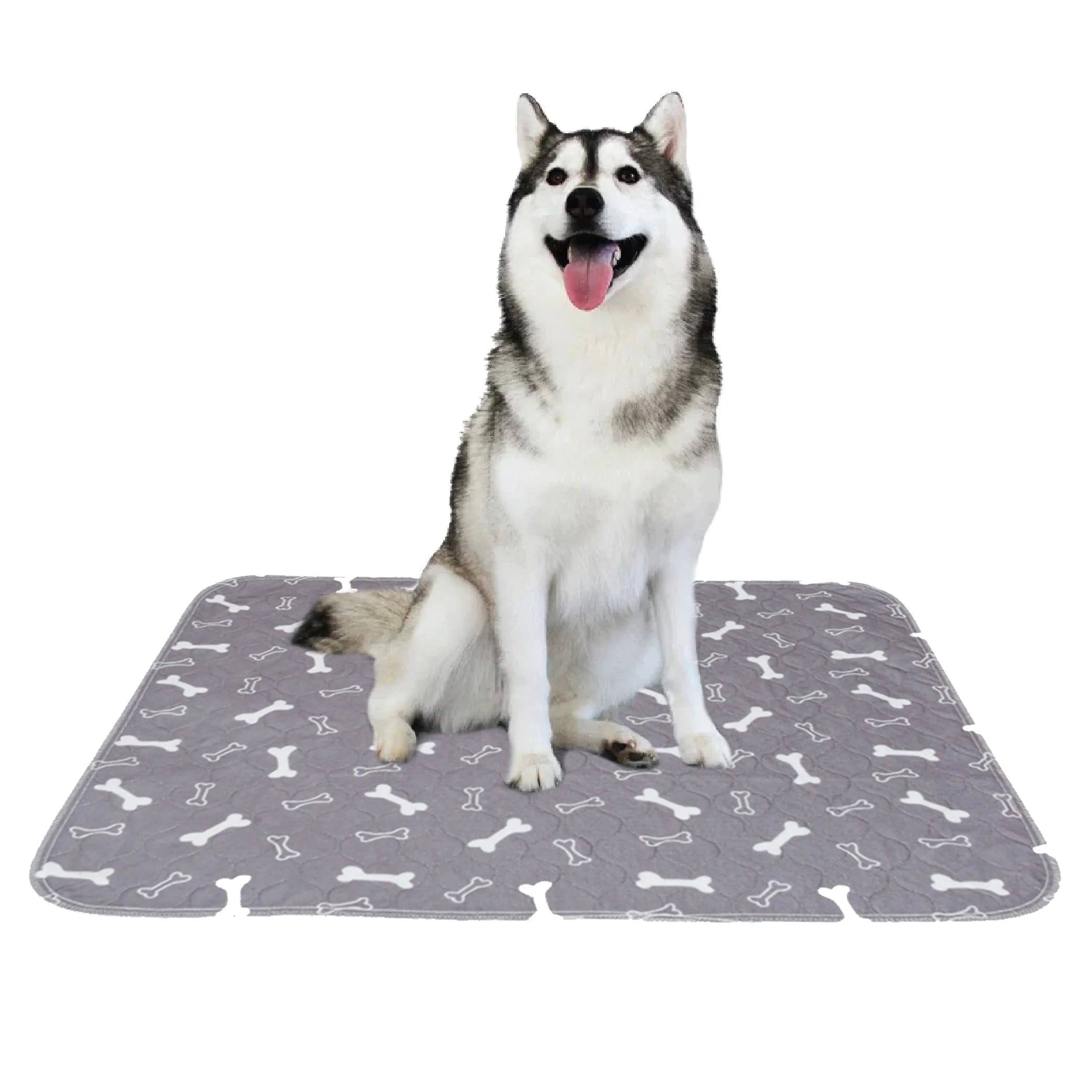 best reusable pee pads for dogs (7224816926870)
