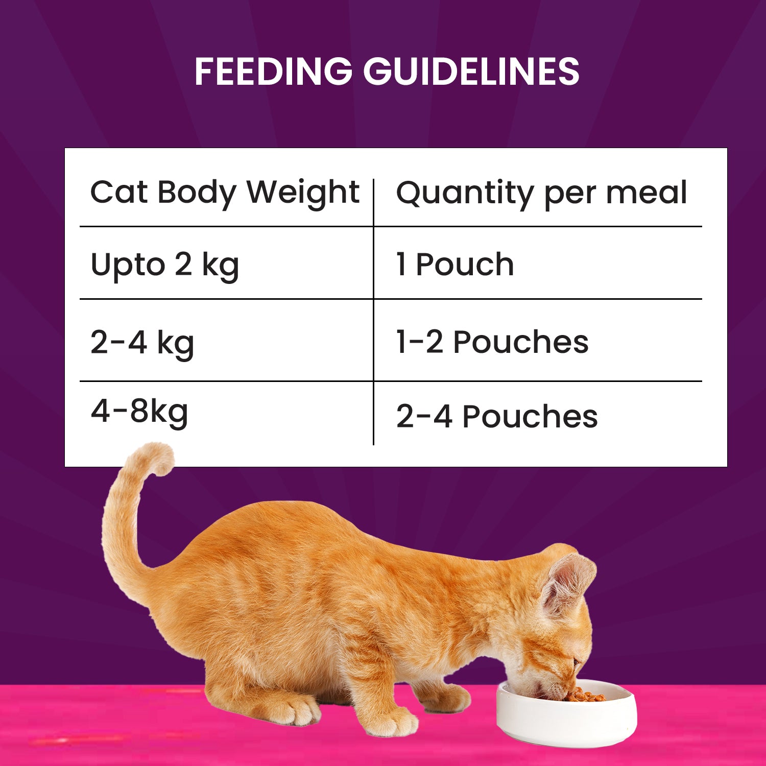 cat and kitten feeding guide chart for cat parents
