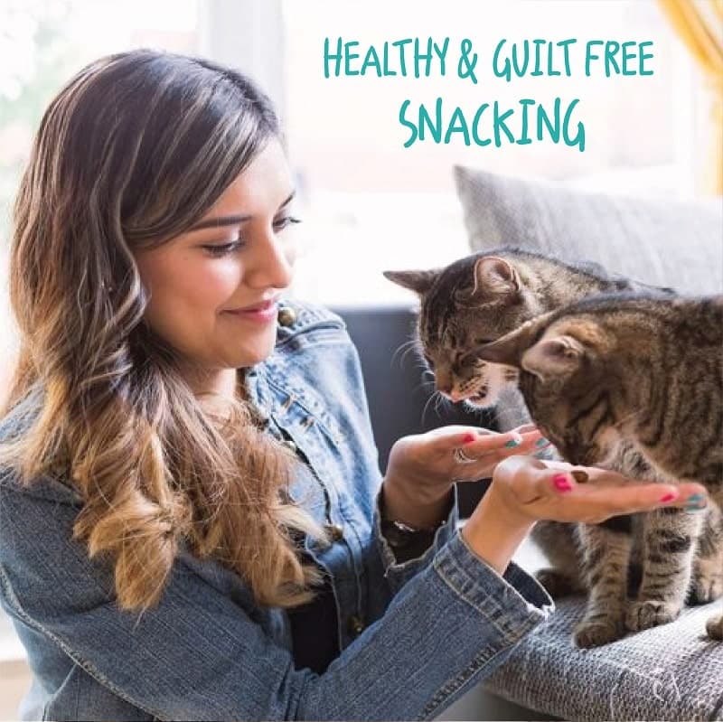 healthy cat treats (7372007800982)