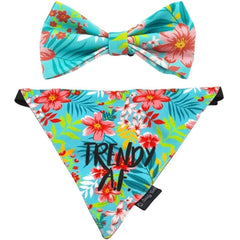 Goofy Tails X Design Chefz Trendy Tropical Bow + Bandana Combo for Dogs & Cats (Multicolor)