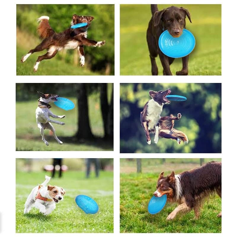 Fetch Dog Toy (7168253624470)