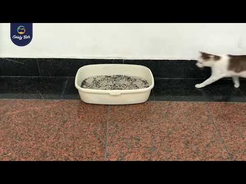 Activated Charcoal Cat Litter Freshener and Cat Litter Deodoriser