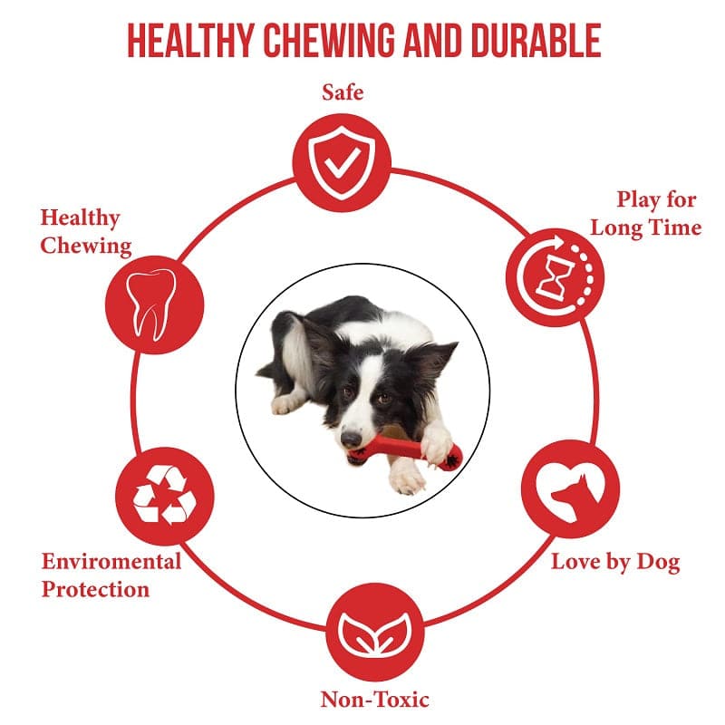 Healthy chewing and durable toy for dogs (7627737464982)