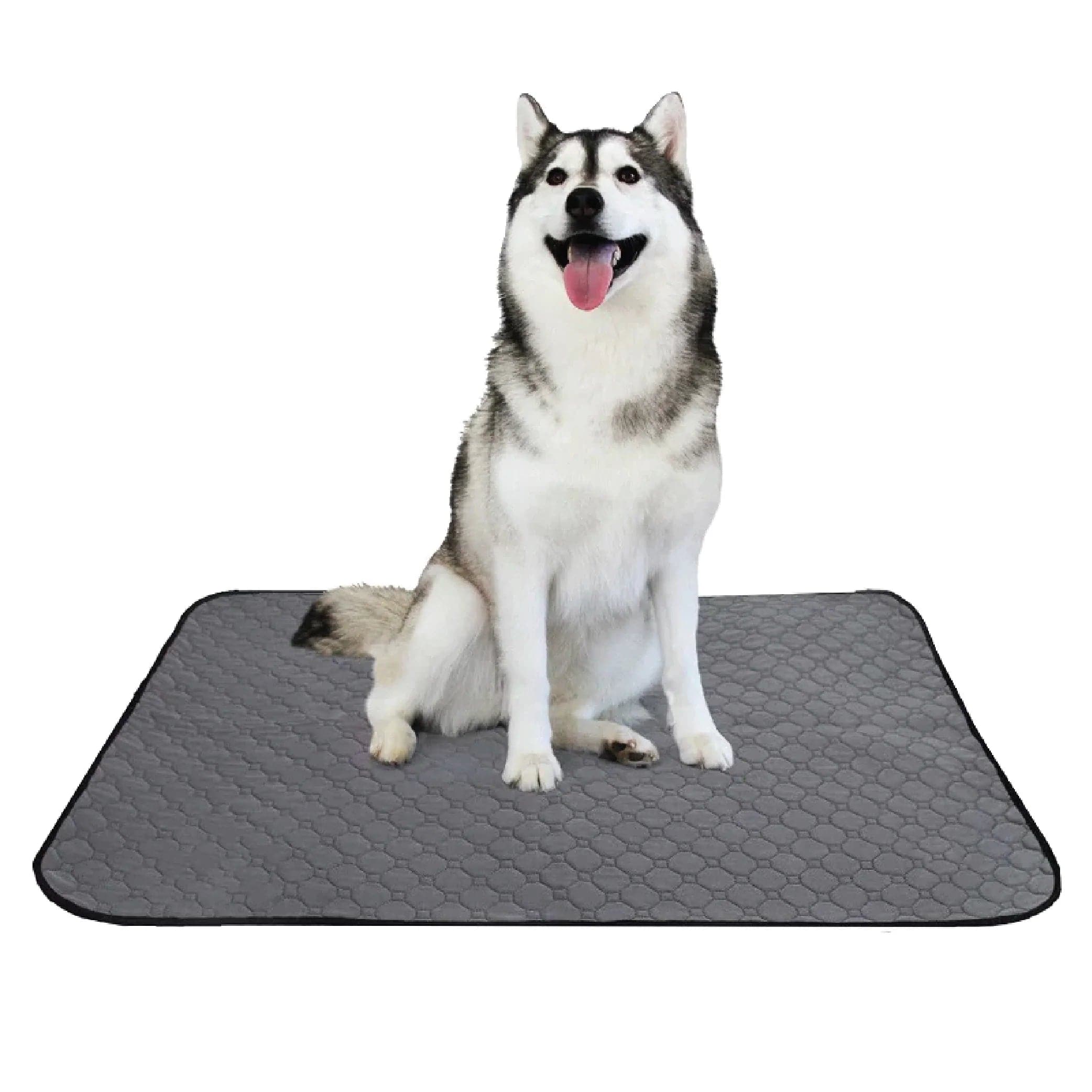 pee pads for puppies (7533544112278)