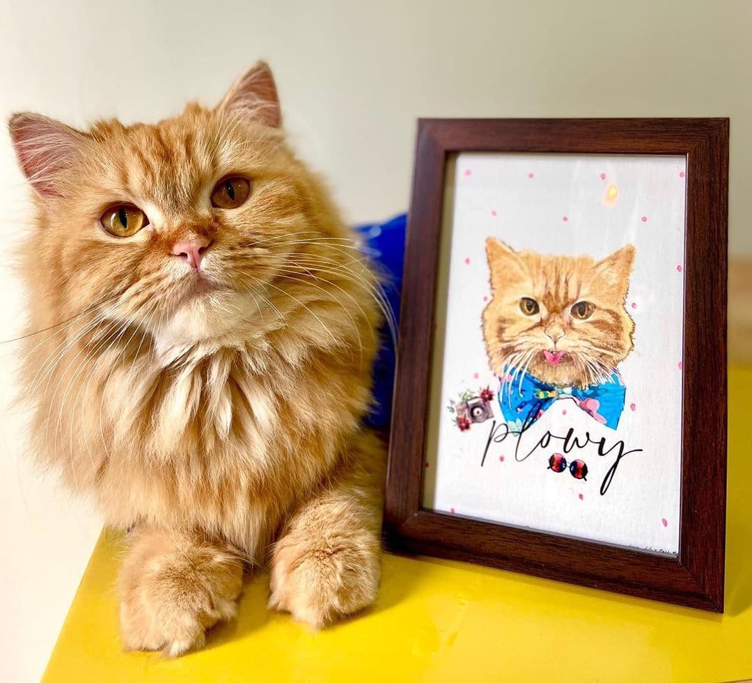 cat personalised portrait (7168319324310)