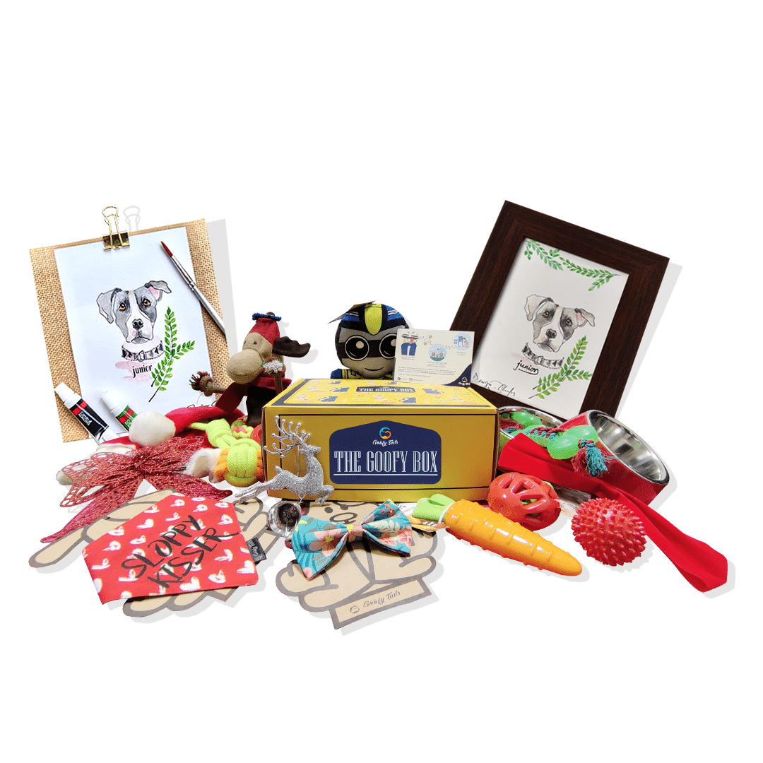 Goofy Box for Dogs with Personalized Portrait | Customized and Curated Supplies for Dogs 8 item equals to 1 box (7168158171286)