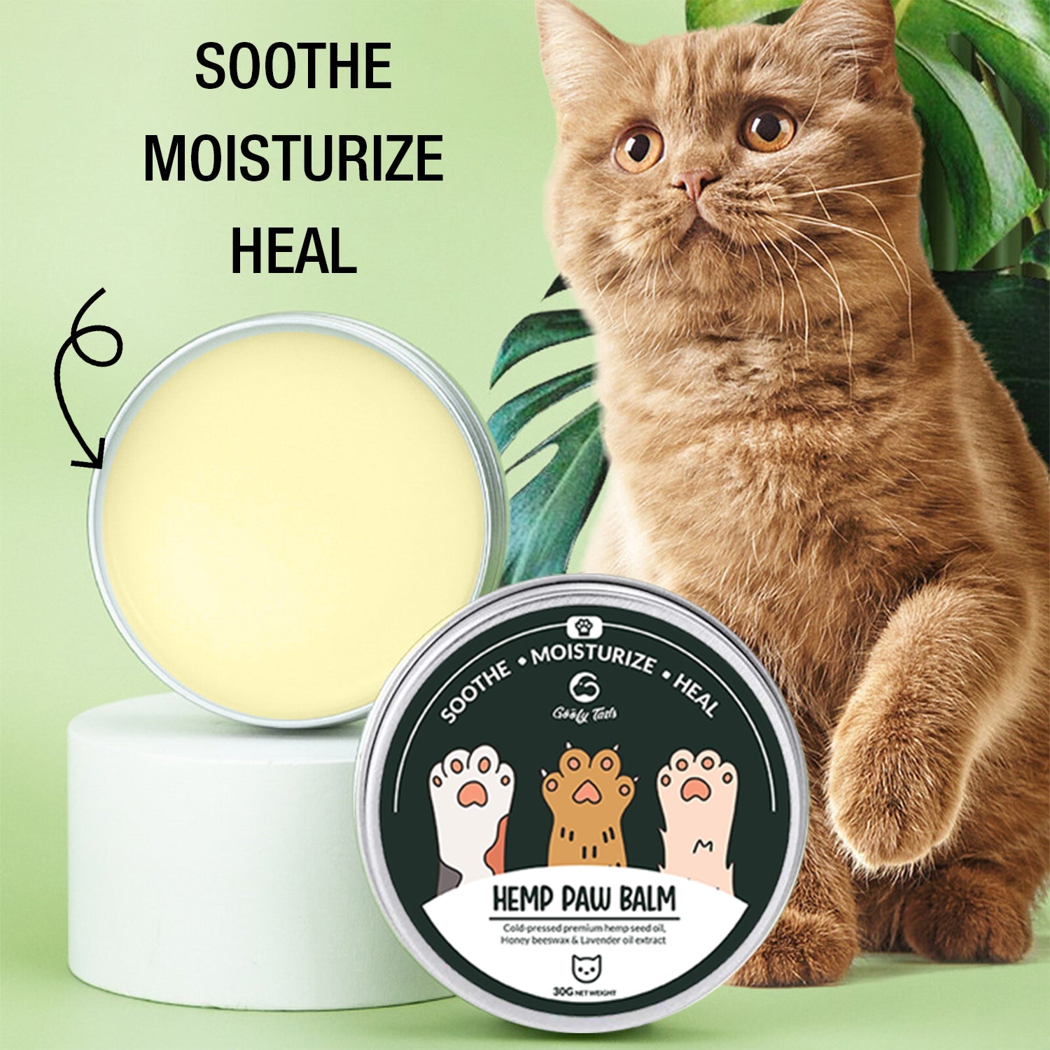 red persian cat with soothe moisturizing healing paw cream