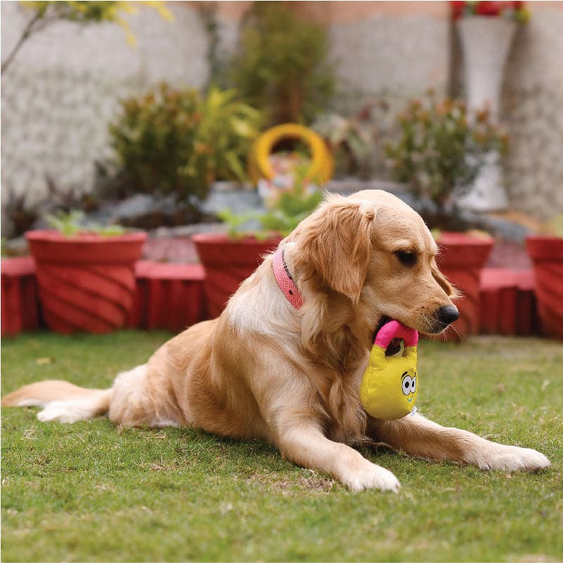 Plush Toy for dogs (7382775103638)