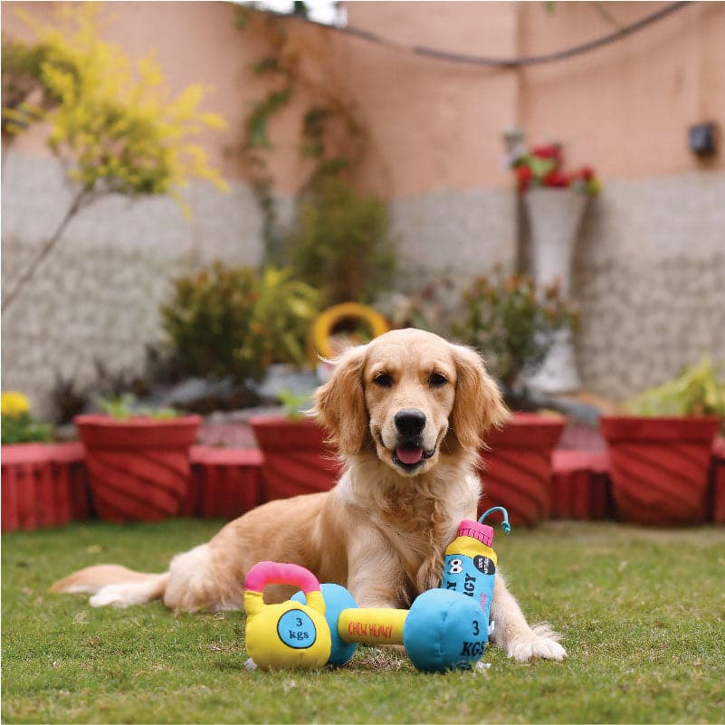 Dogs Toy (7382775103638)