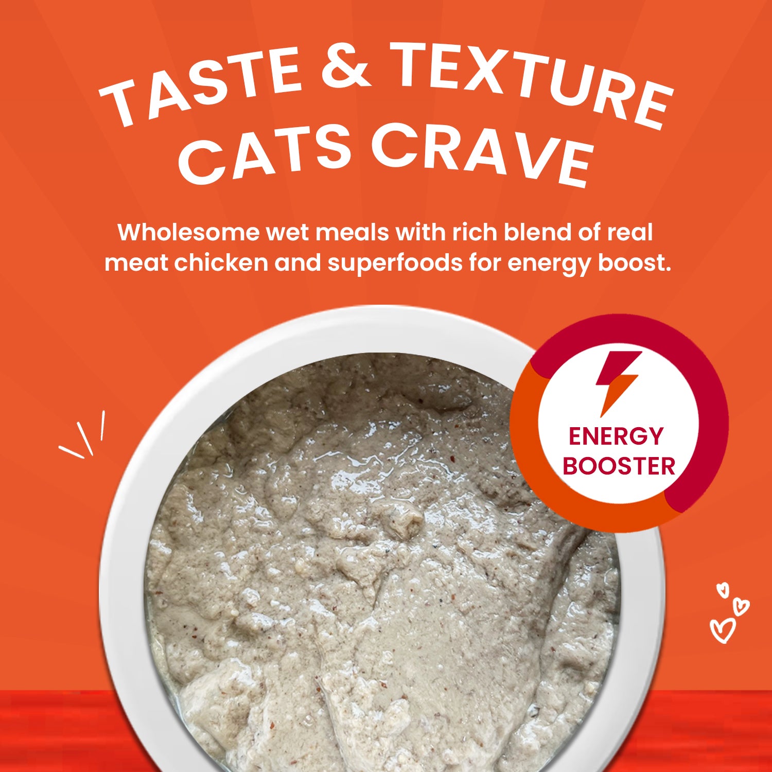 wet cat food meal for pets